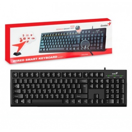 TECLADO GENIUS KB-100 TECLAS SMART USB